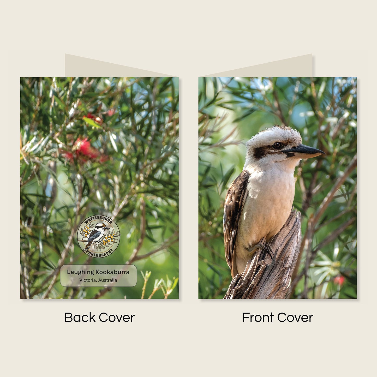 Australian Bird & Wildlife Greeting Cards