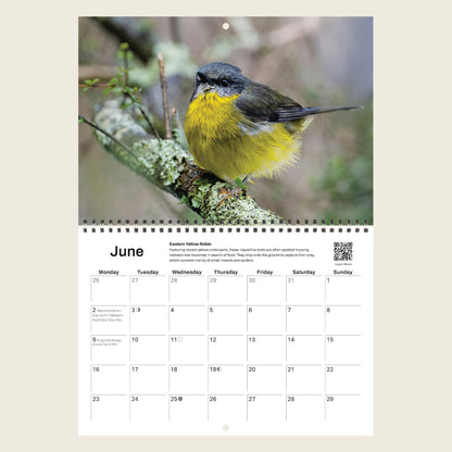 2025 Australian Bird Calendar