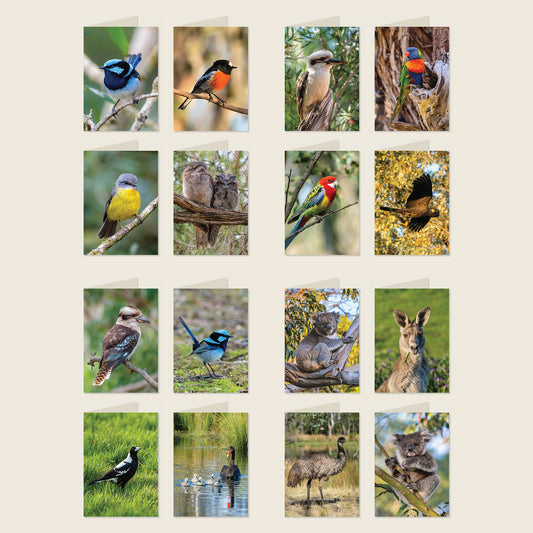 Australian Bird & Wildlife Greeting Cards
