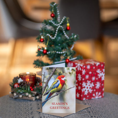 Christmas Australian Bird Greeting Cards (4Pack)