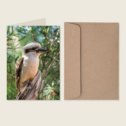 Australian Bird & Wildlife Greeting Cards