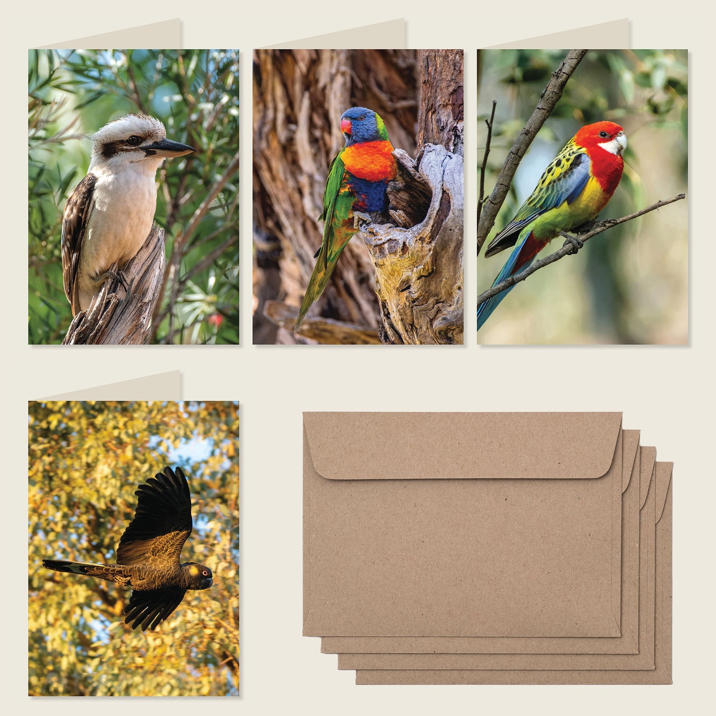 Australian Bird & Wildlife Greeting Cards