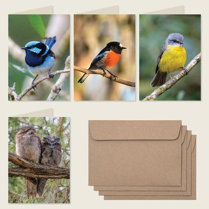 Australian Bird & Wildlife Greeting Cards