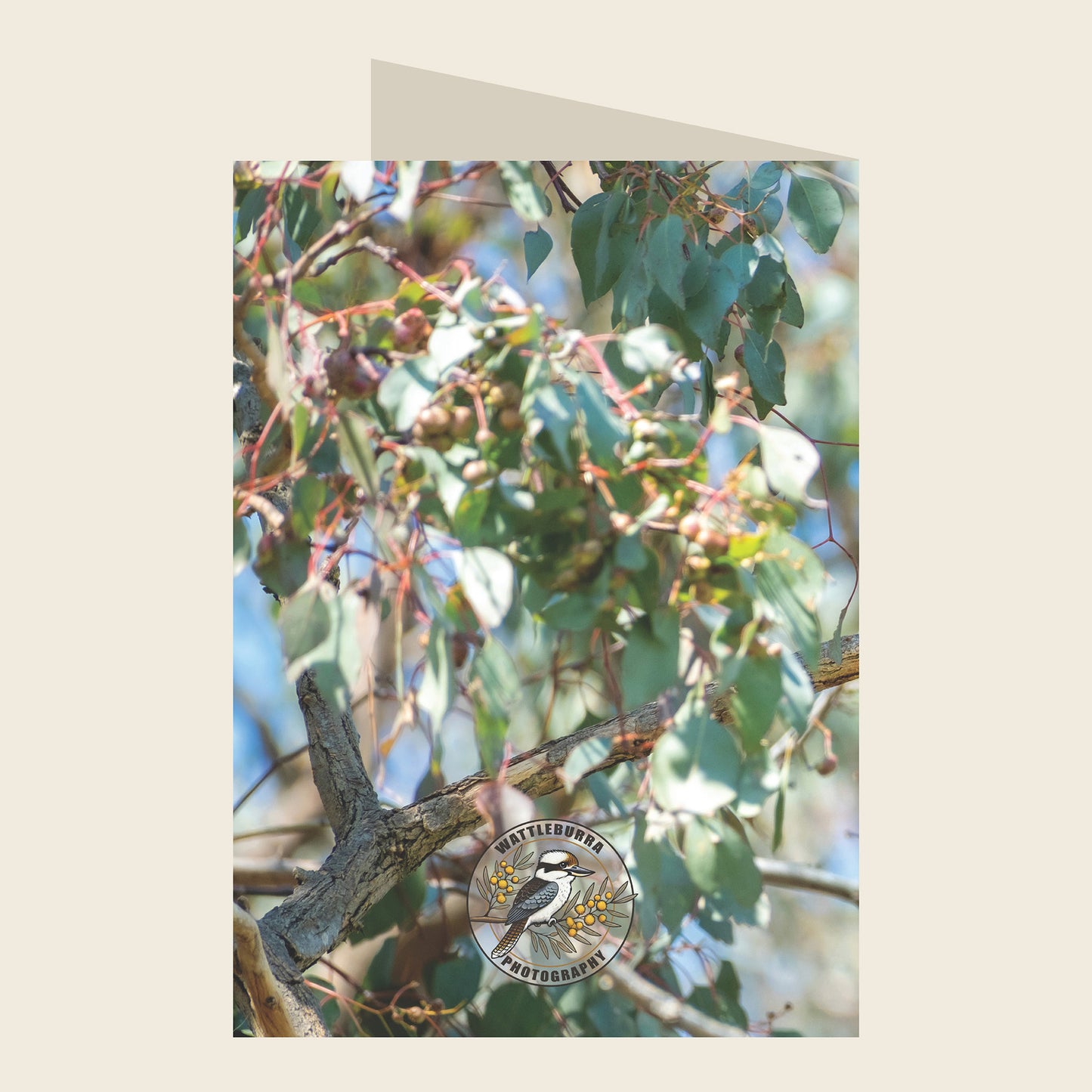 Australian King-Parrot Birthday Greeting Card