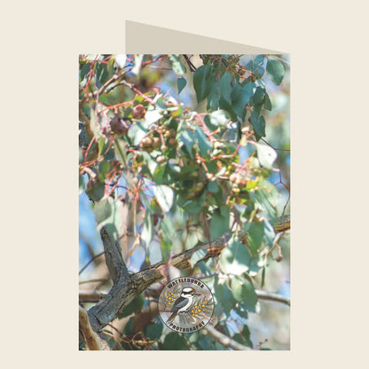 Australian King-Parrot Birthday Greeting Card