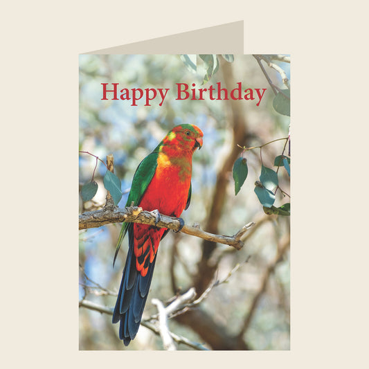 Australian King-Parrot Birthday Greeting Card