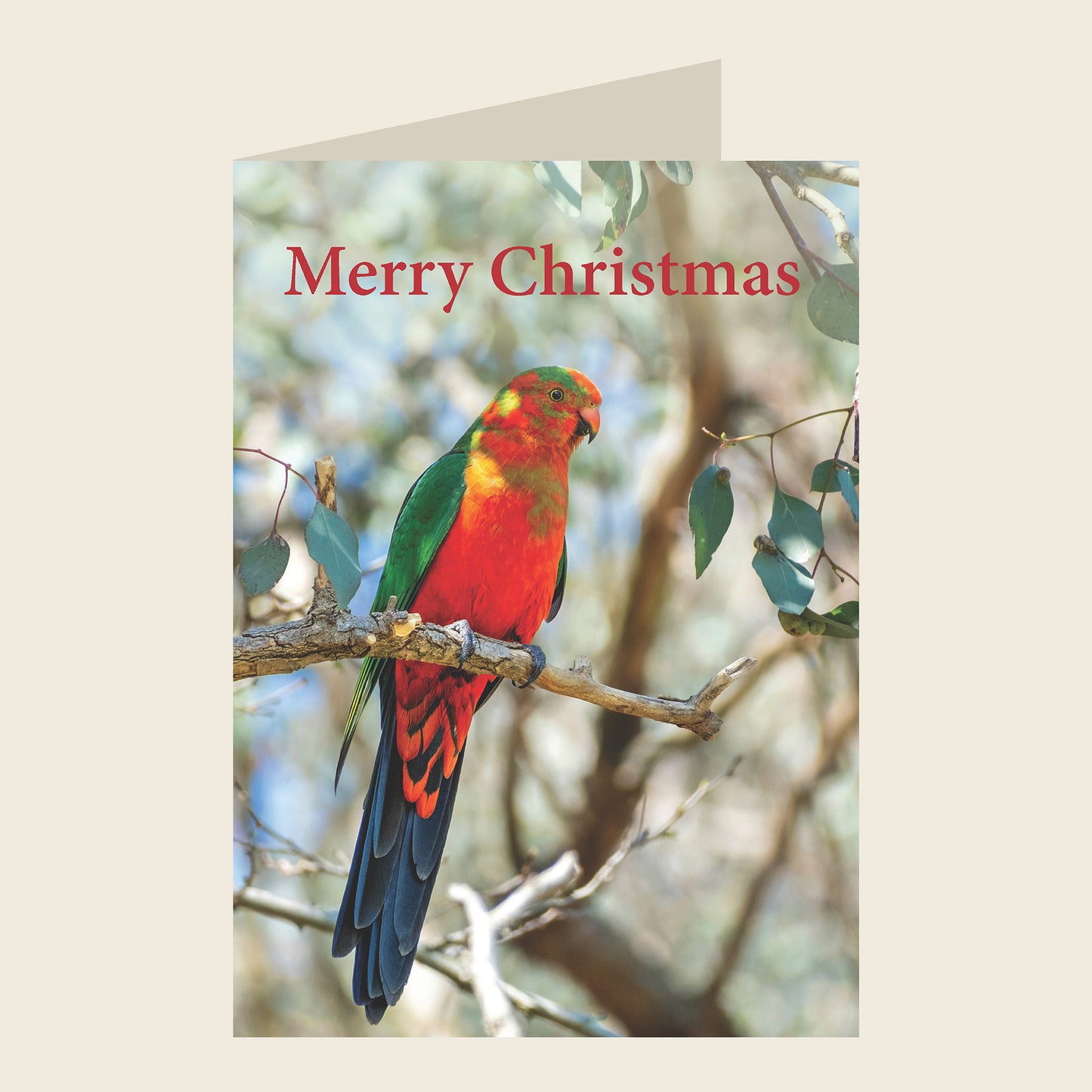 Australian King-Parrot Christmas Greeting Card