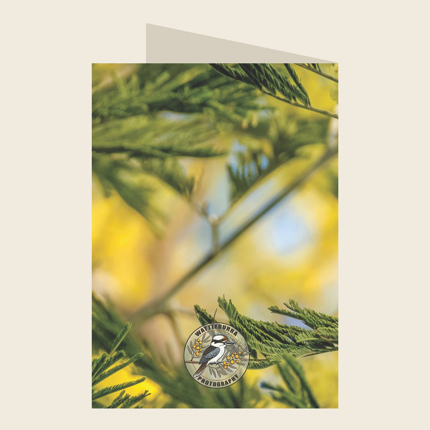 Brown Thornbill Birthday Greeting Card