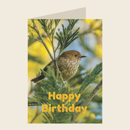 Brown Thornbill Birthday Greeting Card