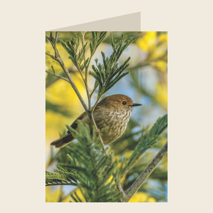 Brown Thornbill Blank Greeting Card
