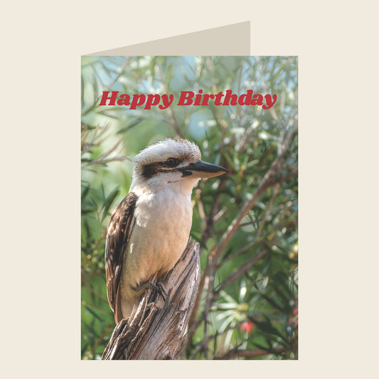 Laughing Kookaburra Birthday Greeting Card
