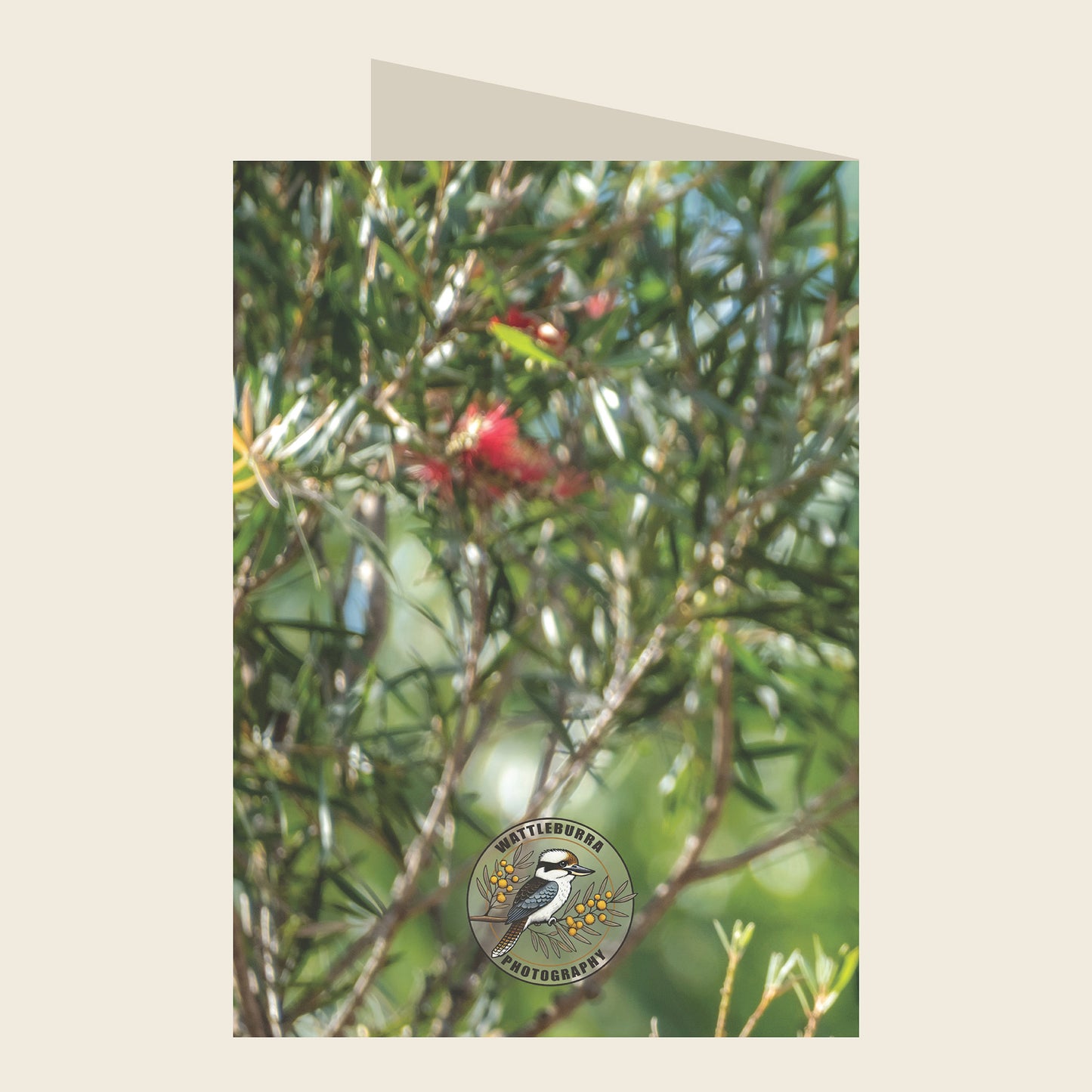 Laughing Kookaburra Blank Greeting Card