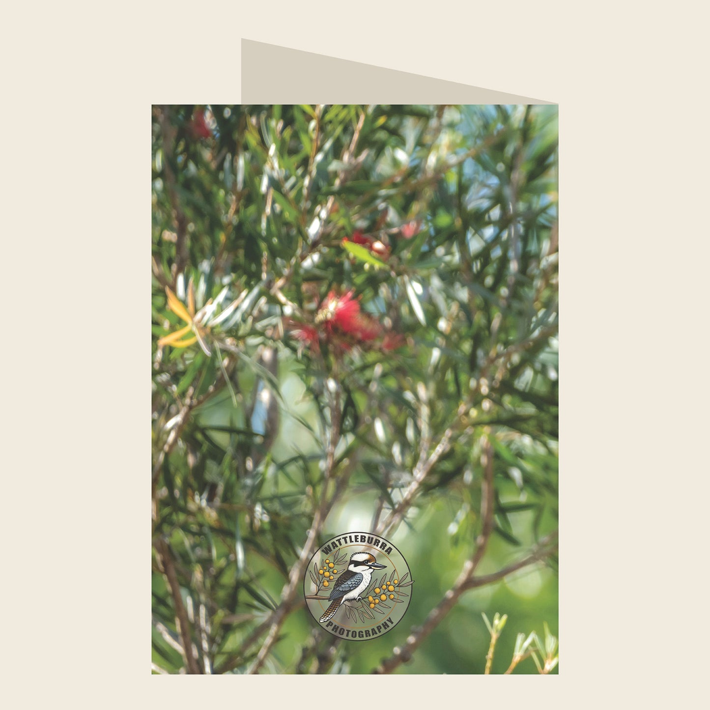Laughing Kookaburra Christmas Greeting Card