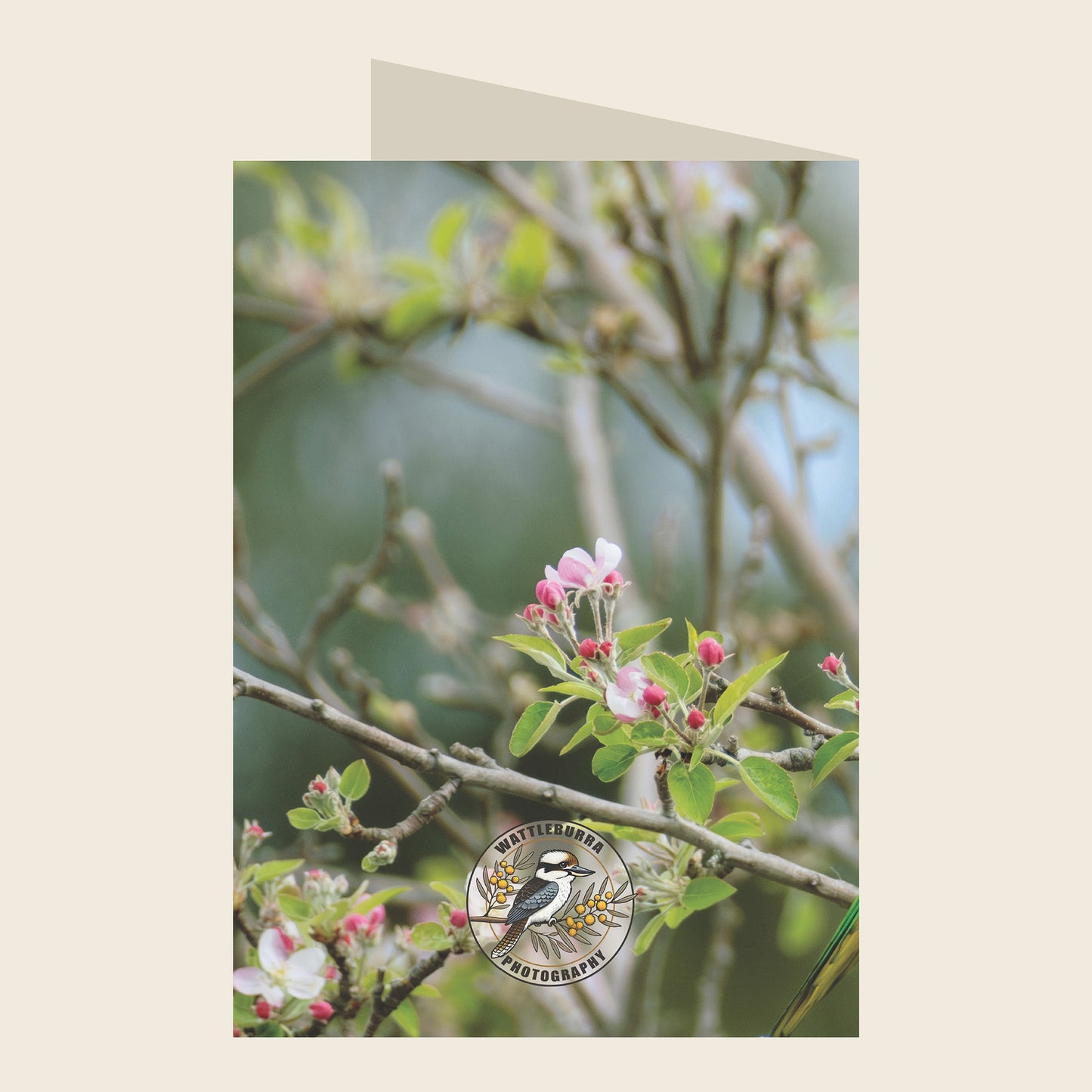 Rainbow Lorikeet Birthday Greeting Card