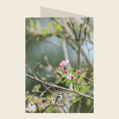 Rainbow Lorikeet Christmas Greeting Card