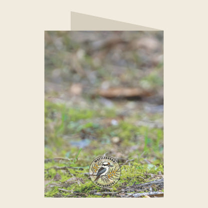 Superb Fairywren Birthday Greeting Card