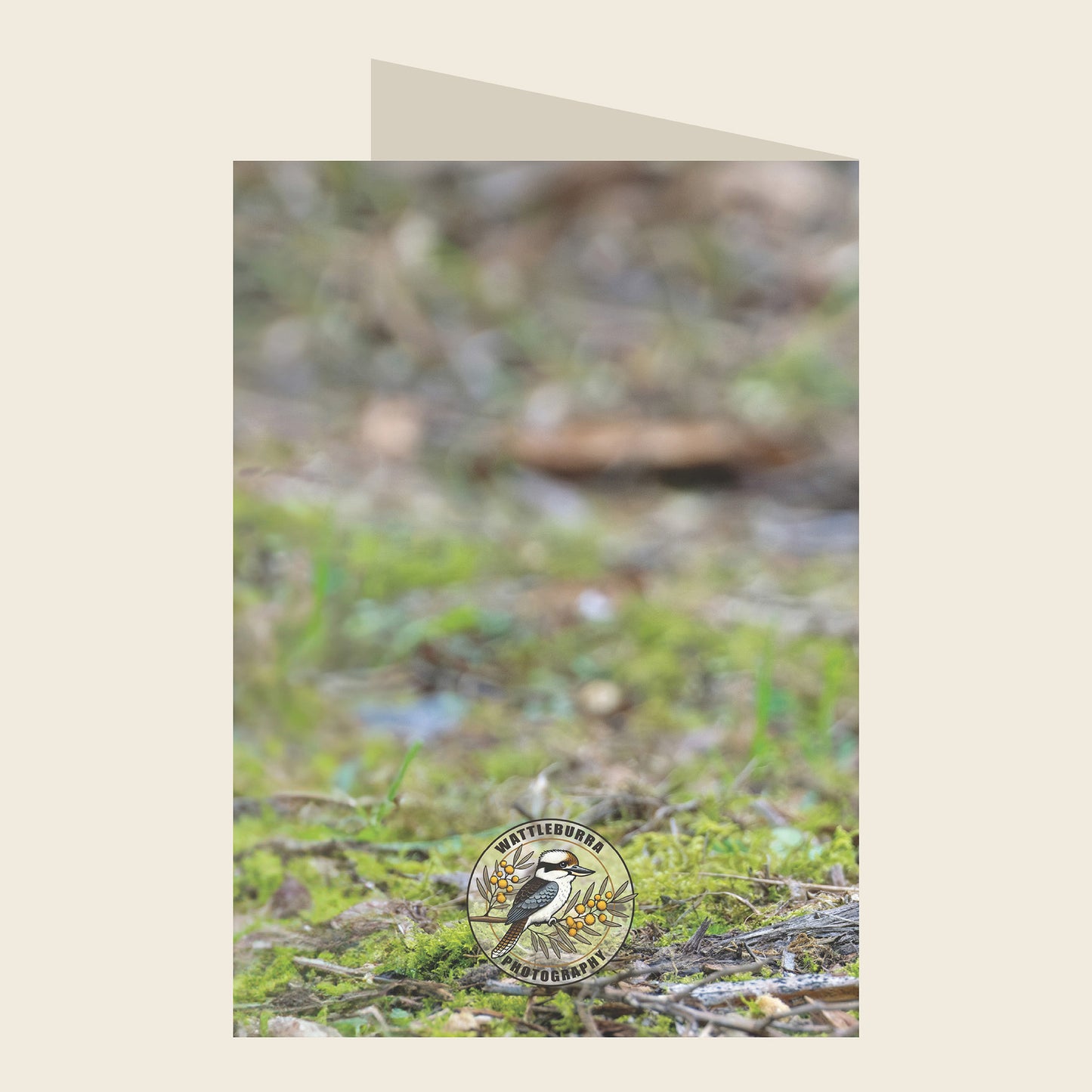 Superb Fairywren Blank Greeting Card