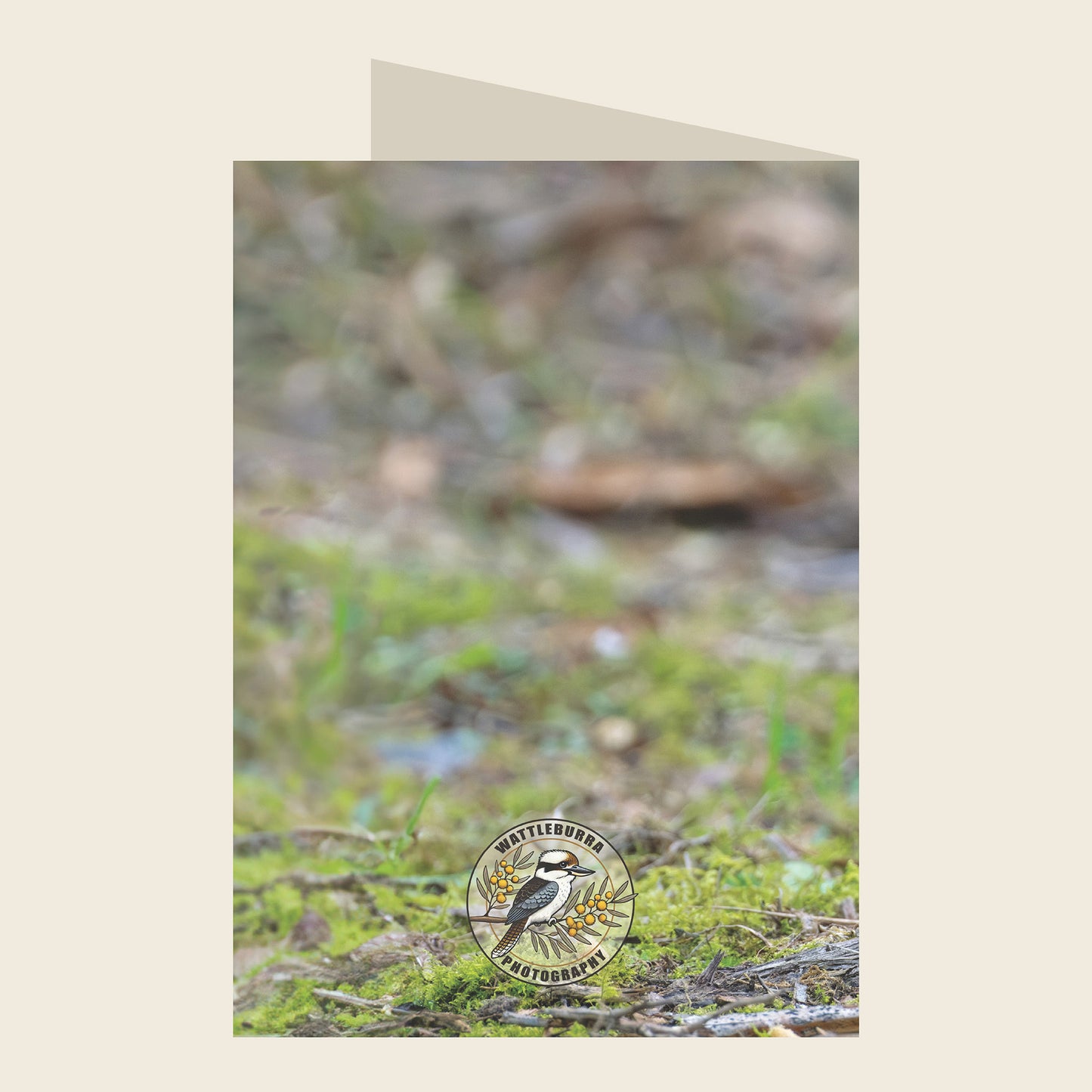 Superb Fairywren Christmas Greeting Card