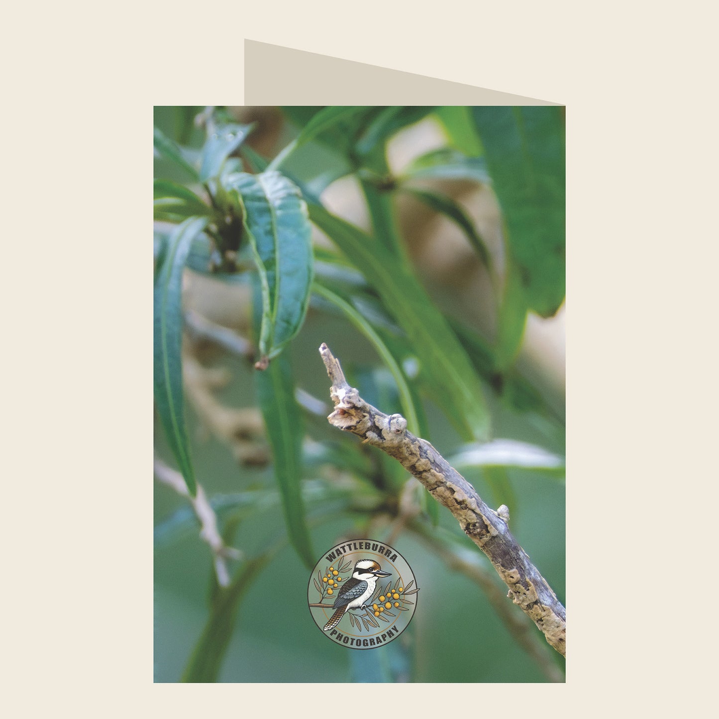 Superb Fairywren Birthday Greeting Card