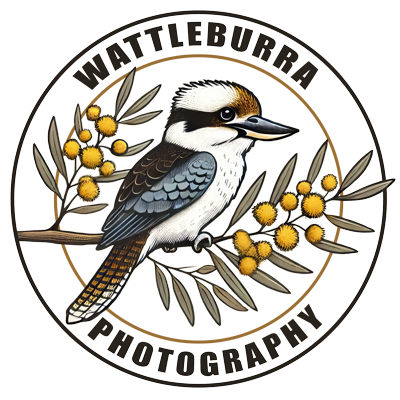 WattleBurra Photography